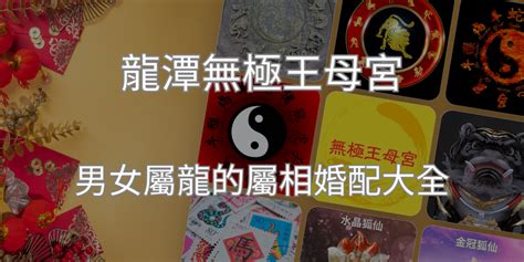 龍男雞女|屬龍的屬相婚配表攻略，屬龍婚配哪個屬相最好